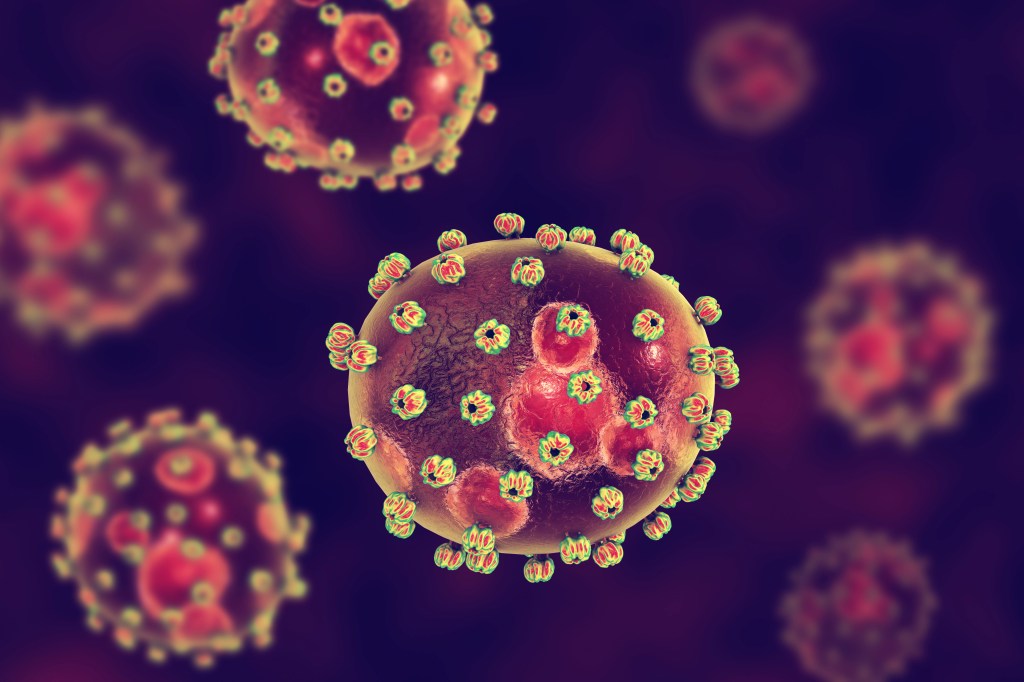 3D illustration of Lassa fever viruses with internal inclusions and external glycoprotein dots, the causative agent of Lassa hemorrhagic fever